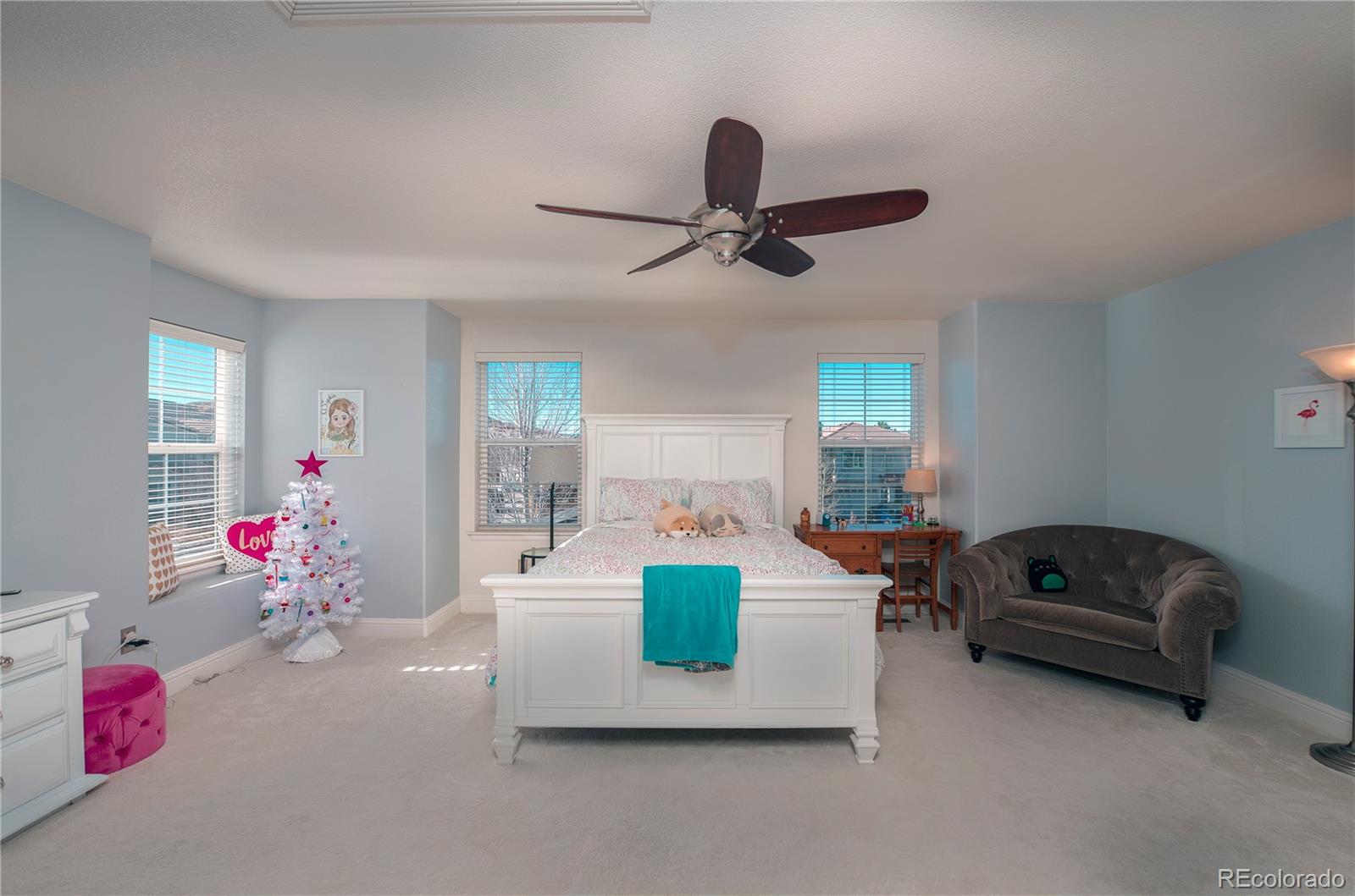MLS Image #20 for 2482  cactus bloom court,castle rock, Colorado