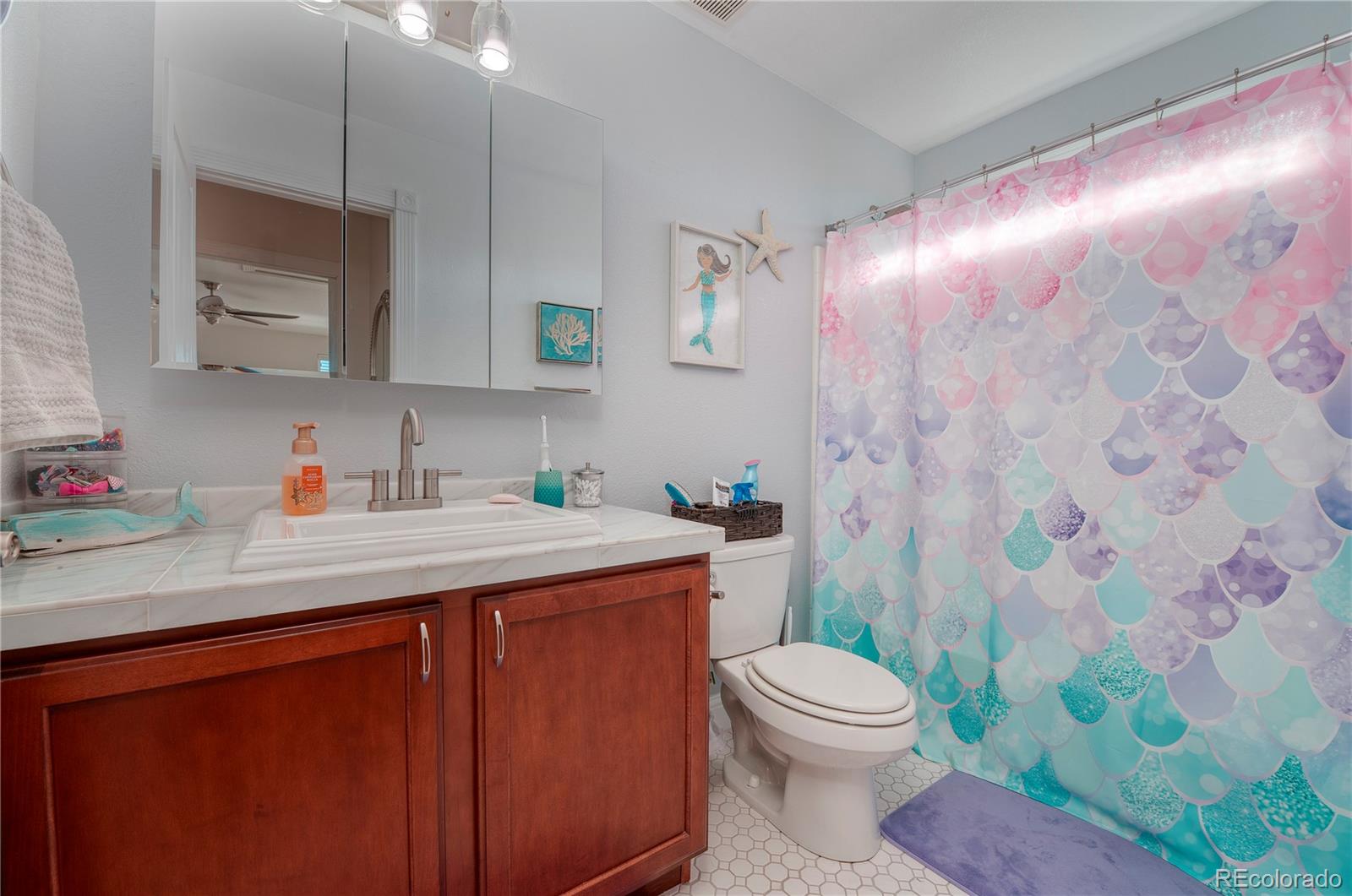 MLS Image #23 for 2482  cactus bloom court,castle rock, Colorado