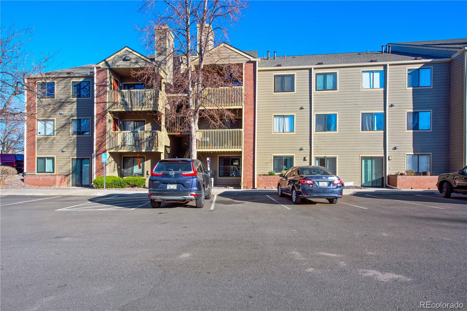 MLS Image #3 for 6385  oak street,arvada, Colorado