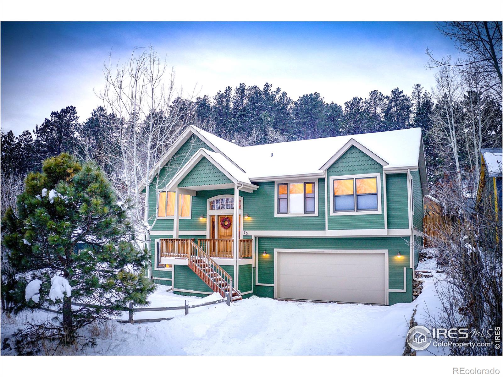 MLS Image #0 for 75  mesa street,jamestown, Colorado