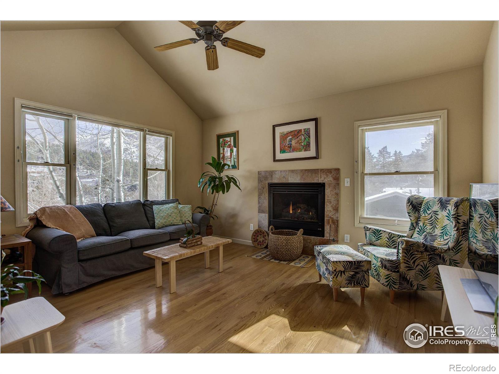 MLS Image #3 for 75  mesa street,jamestown, Colorado