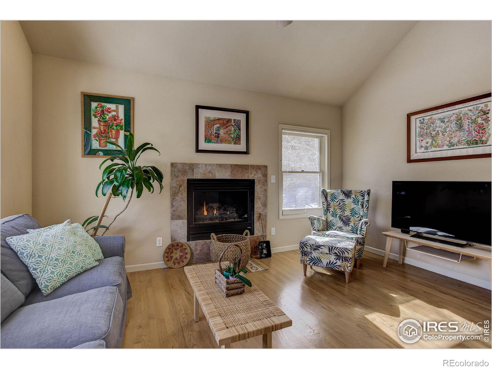 MLS Image #4 for 75  mesa street,jamestown, Colorado