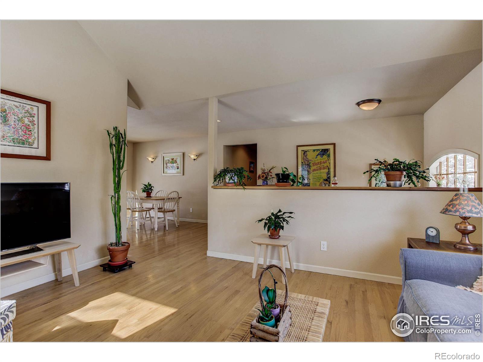 MLS Image #5 for 75  mesa street,jamestown, Colorado