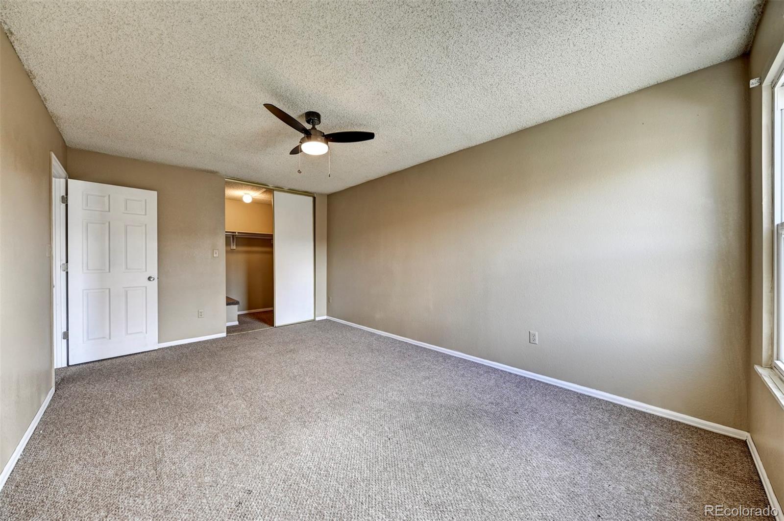 MLS Image #19 for 2320  lexington village lane,colorado springs, Colorado