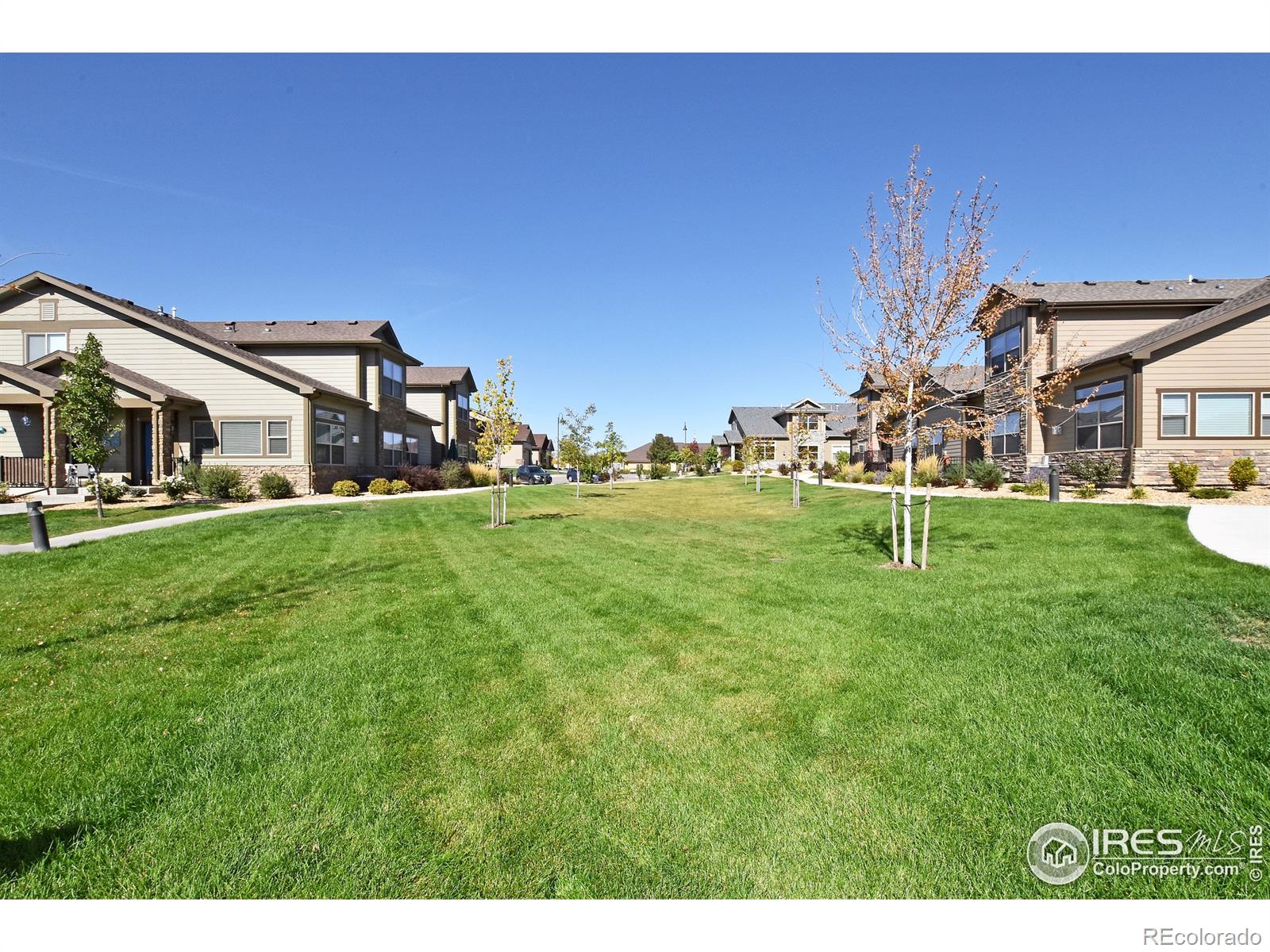 MLS Image #25 for 1927  sunshine peak drive,loveland, Colorado