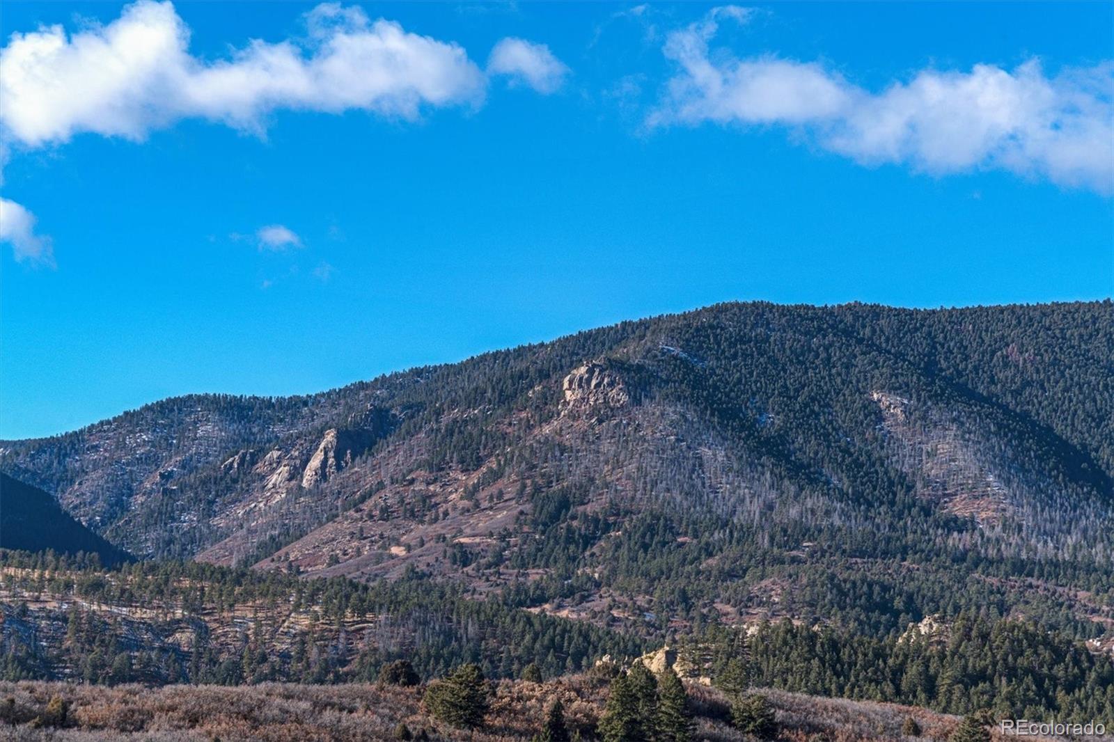 MLS Image #20 for 4407  echo butte lane,larkspur, Colorado