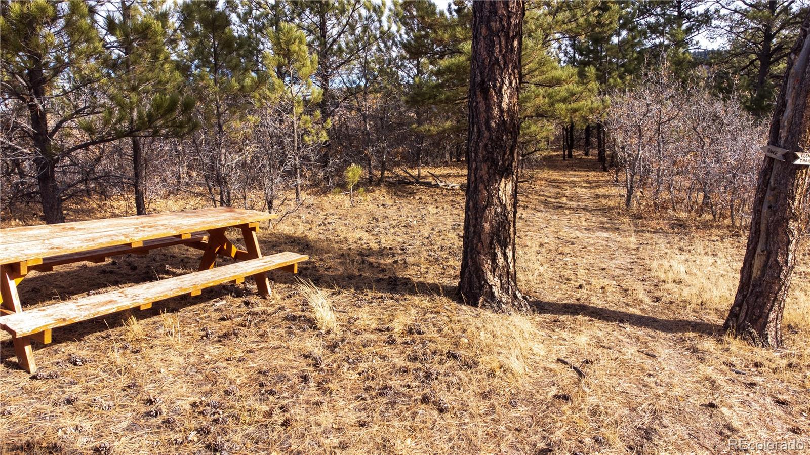 MLS Image #38 for 5750  elk view court,larkspur, Colorado