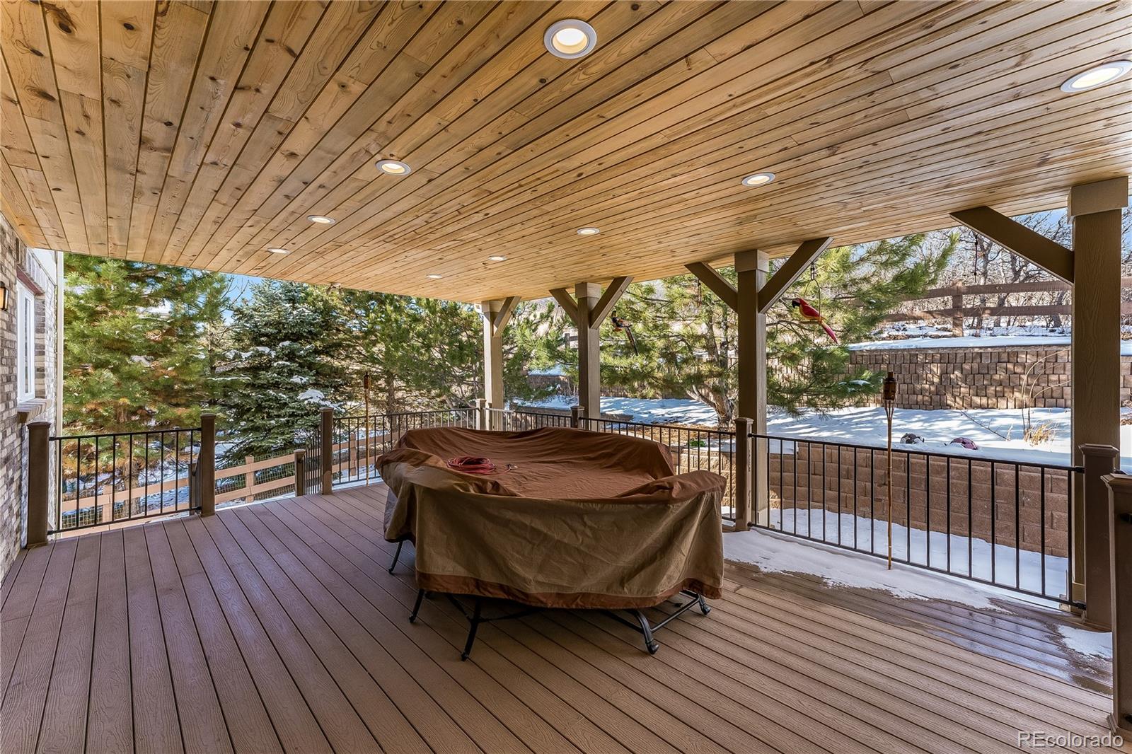 MLS Image #8 for 7045  esperanza drive,castle pines, Colorado