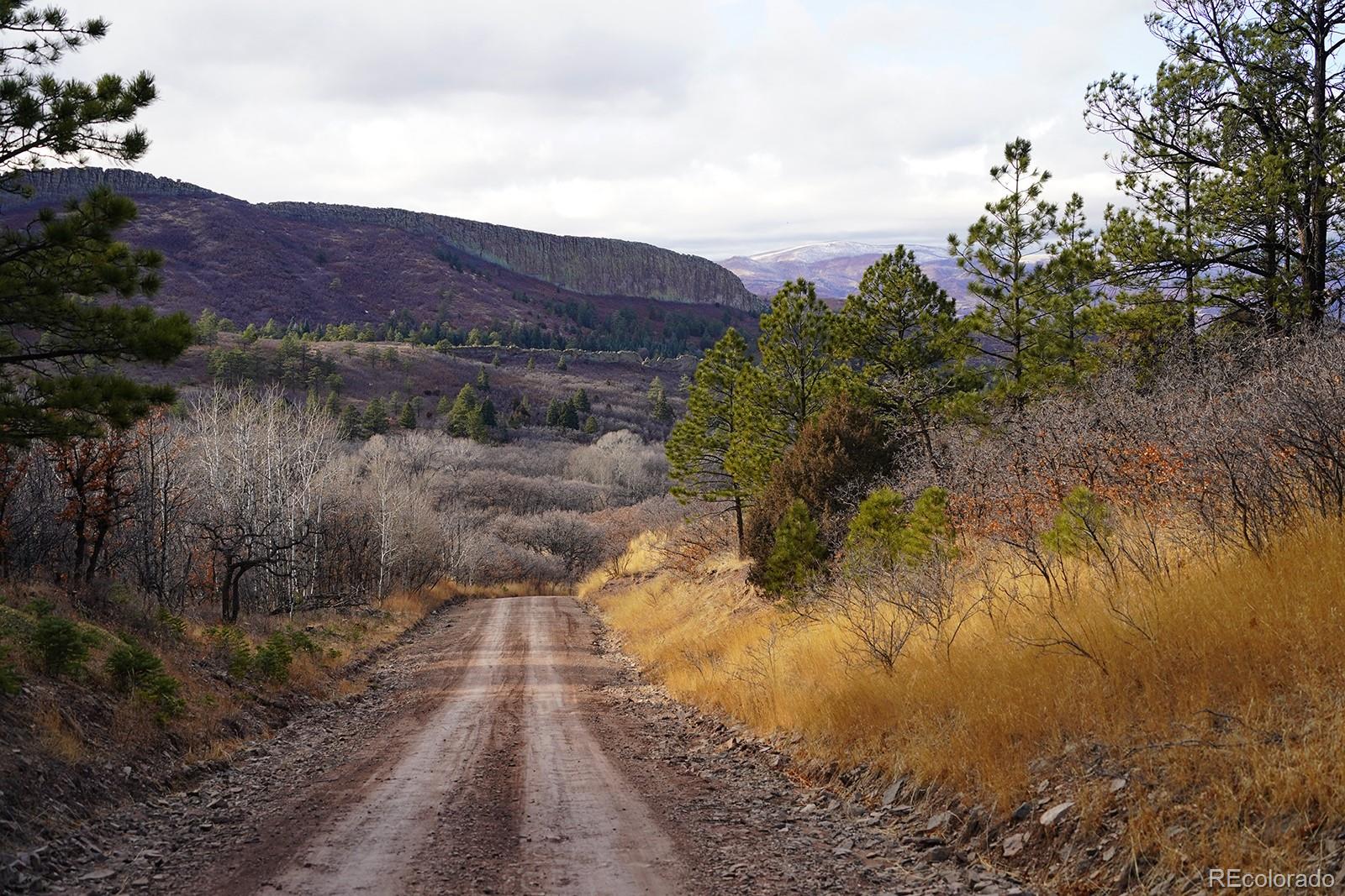 MLS Image #18 for 7475  county road 360 ,la veta, Colorado
