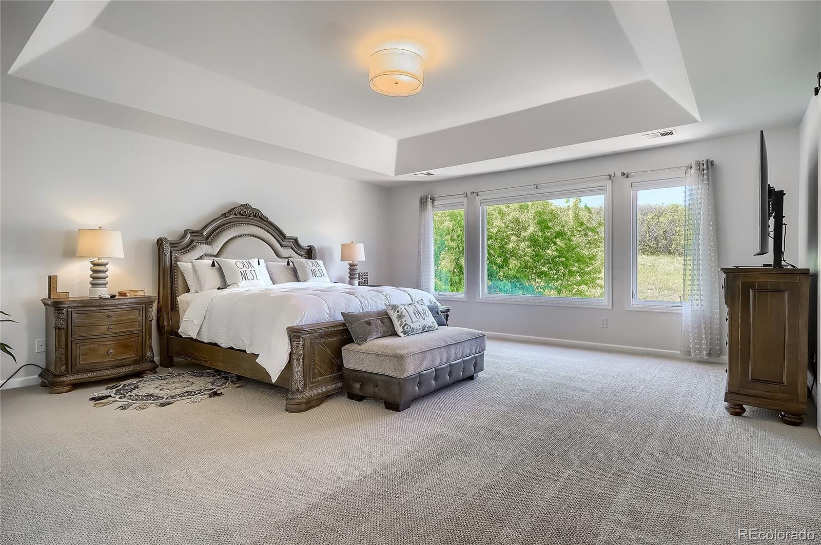 MLS Image #22 for 6743  esperanza drive,castle pines, Colorado