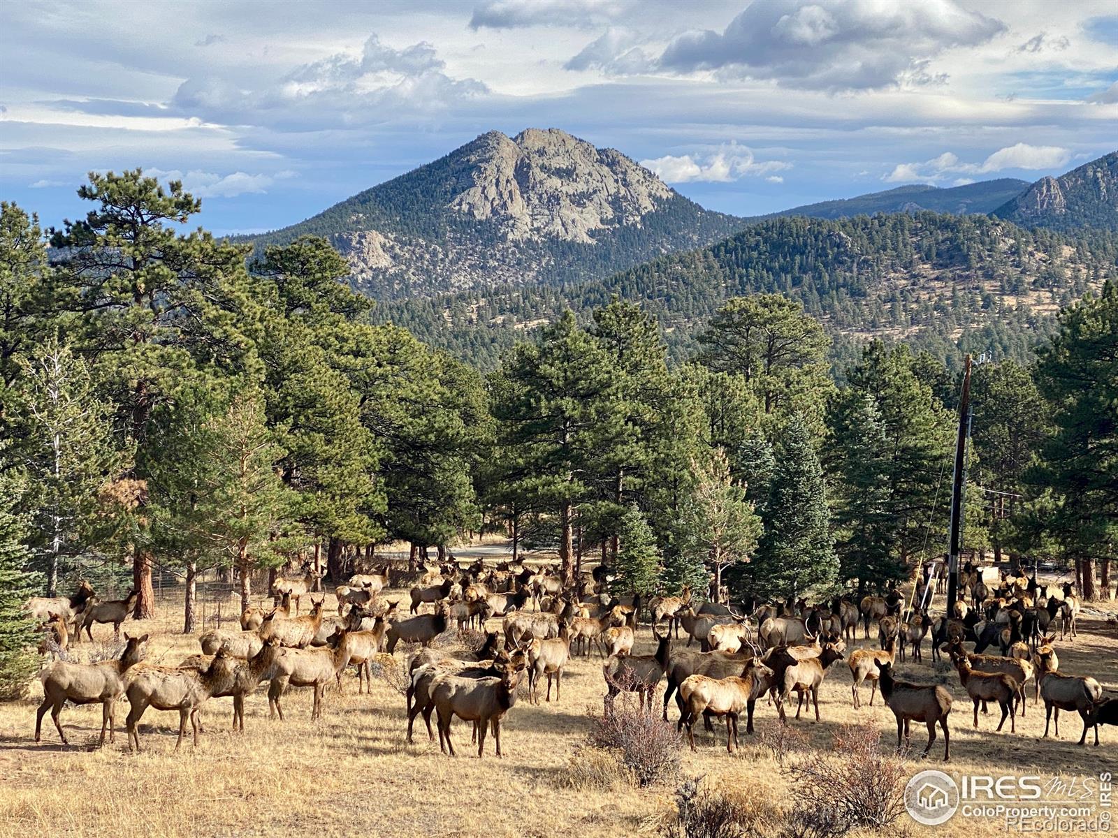 MLS Image #34 for 1059  pine knoll drive,estes park, Colorado
