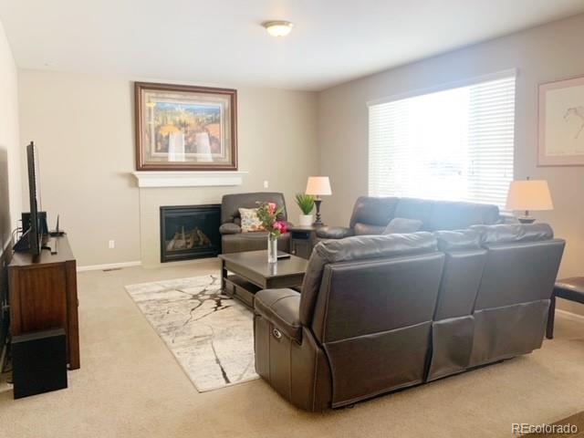 MLS Image #18 for 3024  walnut grove way,frederick, Colorado