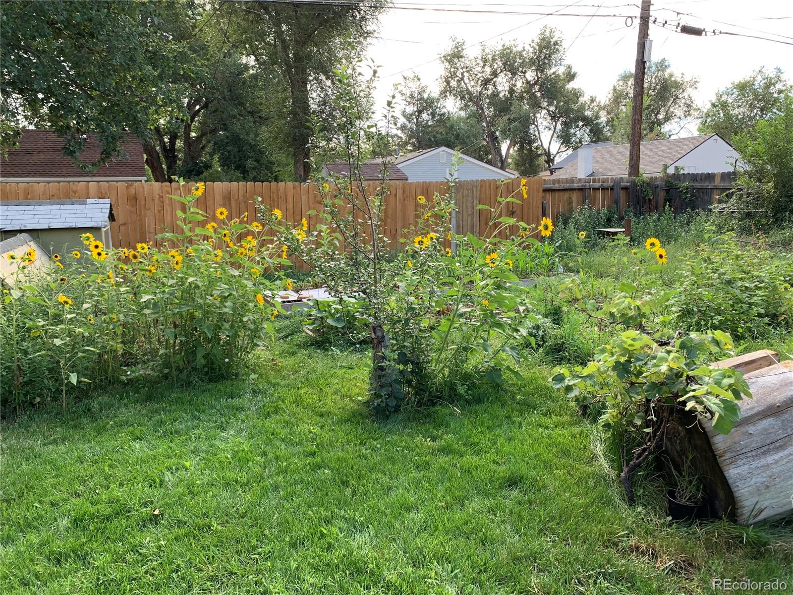 MLS Image #29 for 4740  otis street,wheat ridge, Colorado