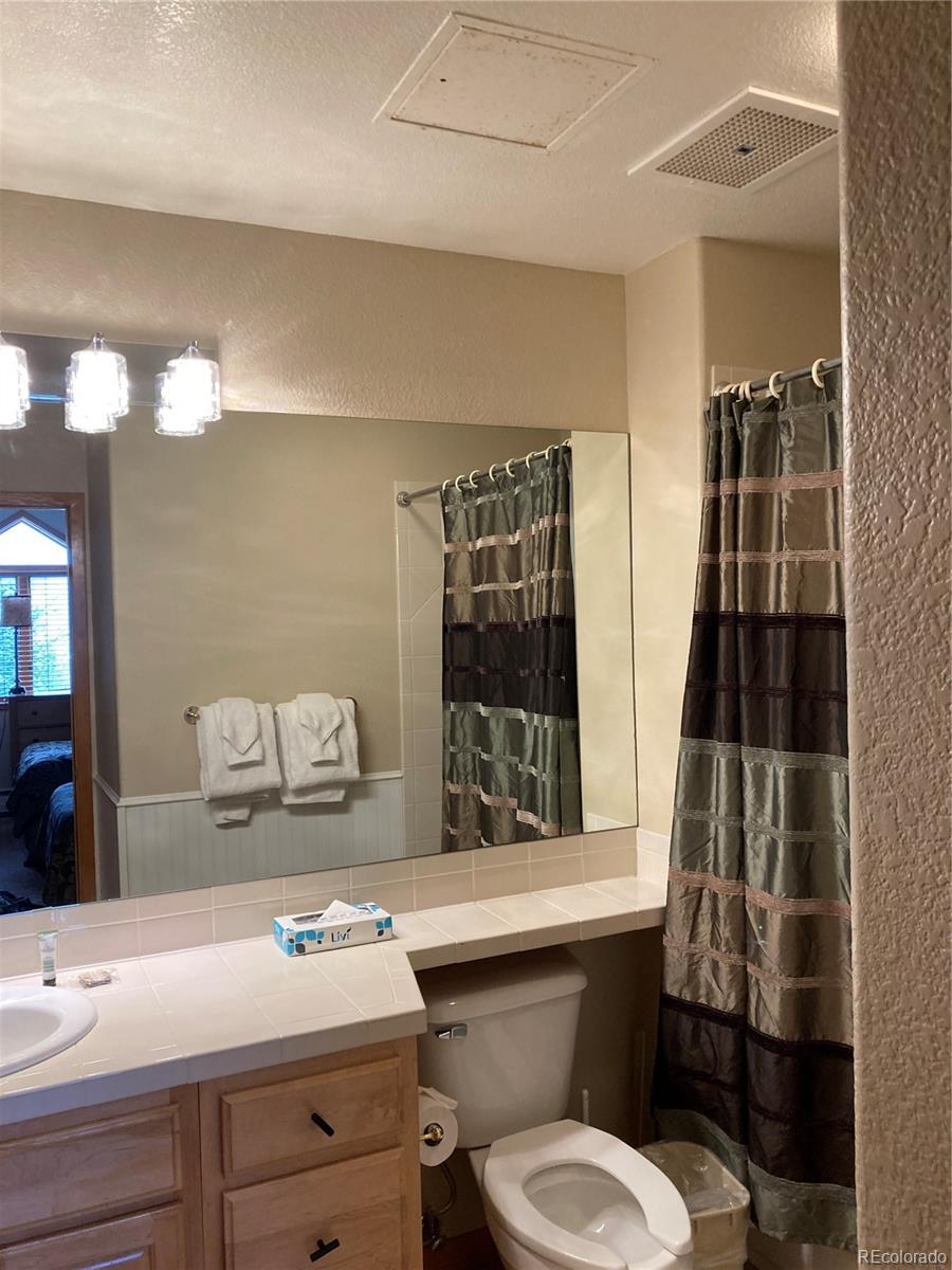 MLS Image #11 for 23110  us highway 6 ,keystone, Colorado