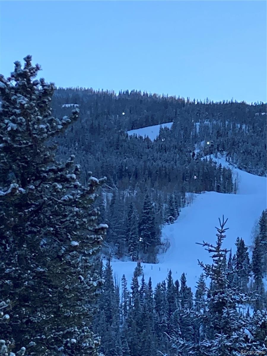 MLS Image #12 for 23110  us highway 6 ,keystone, Colorado