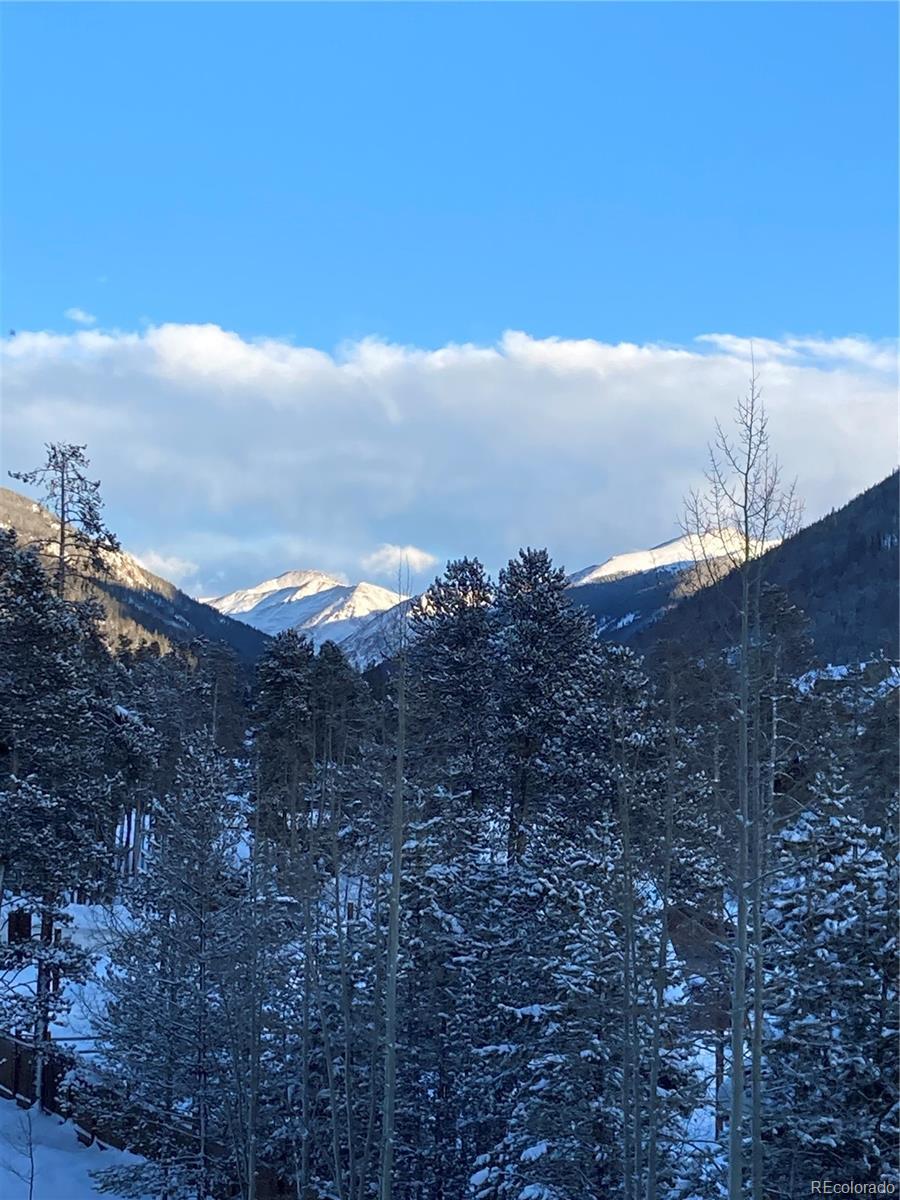 MLS Image #13 for 23110  us highway 6 ,keystone, Colorado