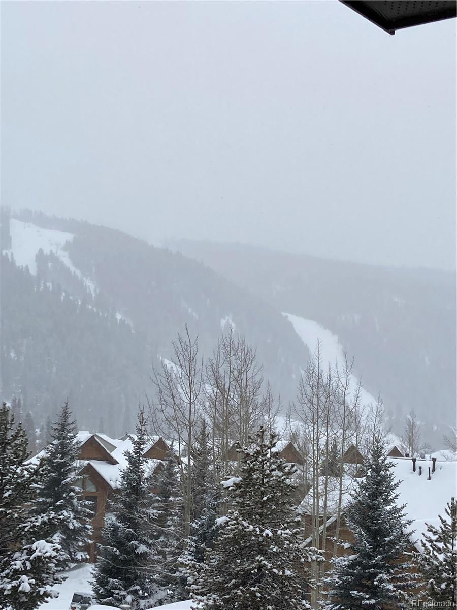 MLS Image #18 for 23110  us highway 6 ,keystone, Colorado