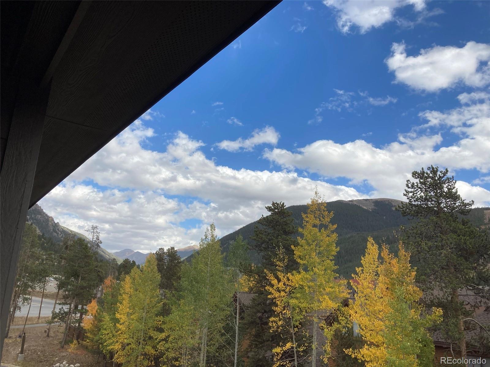 MLS Image #6 for 23110  us highway 6 ,keystone, Colorado