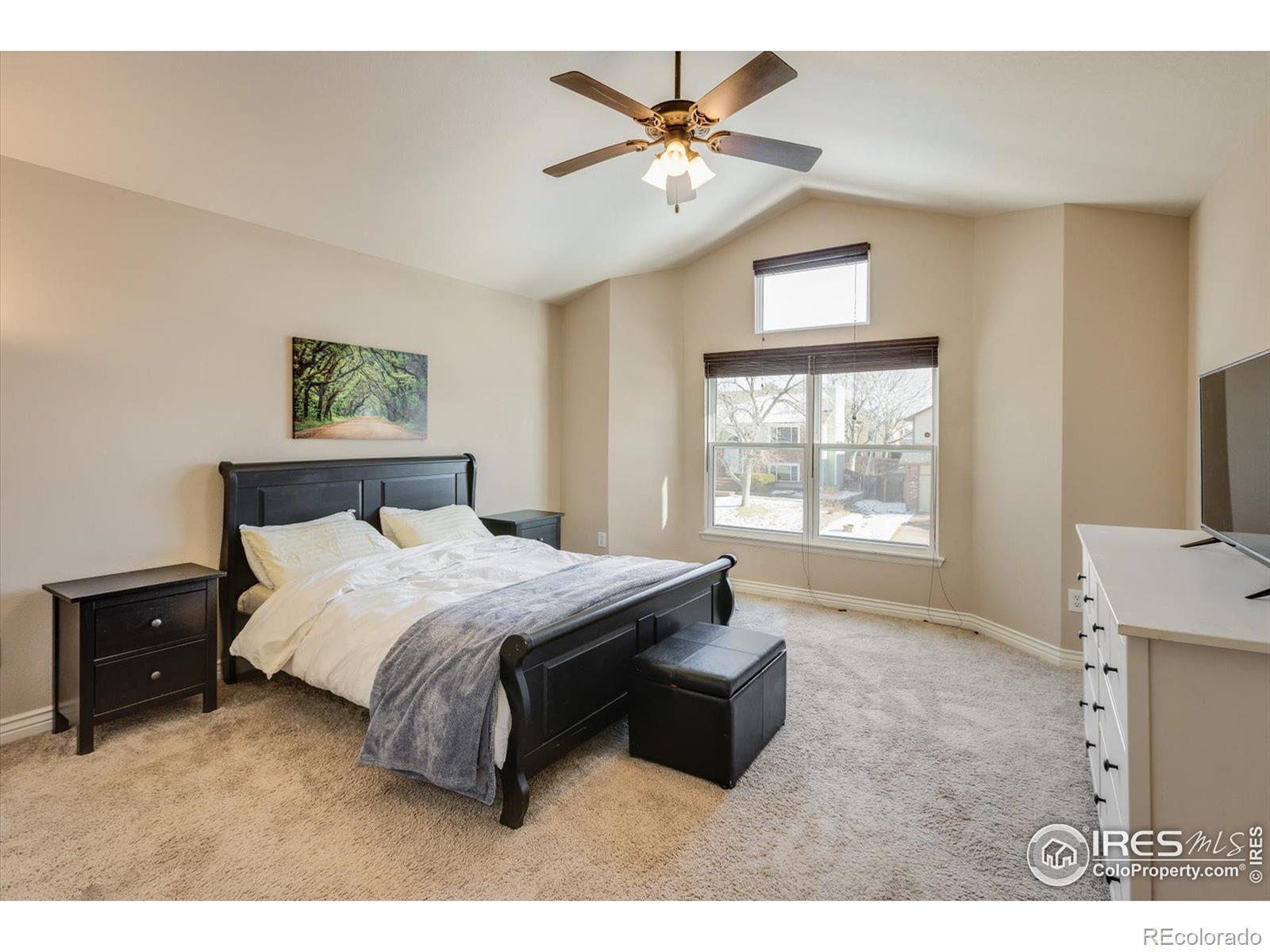 MLS Image #12 for 1607  emerald street,broomfield, Colorado