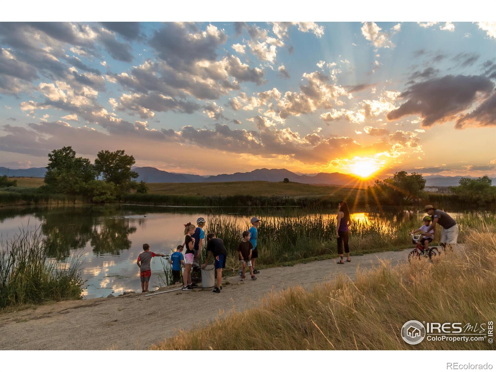 MLS Image #29 for 2223  sunridge circle,broomfield, Colorado