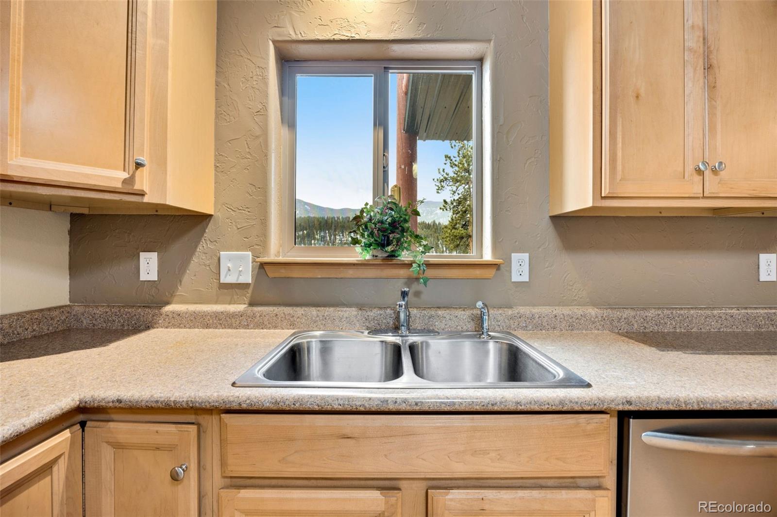 MLS Image #10 for 305  virginia road,bailey, Colorado
