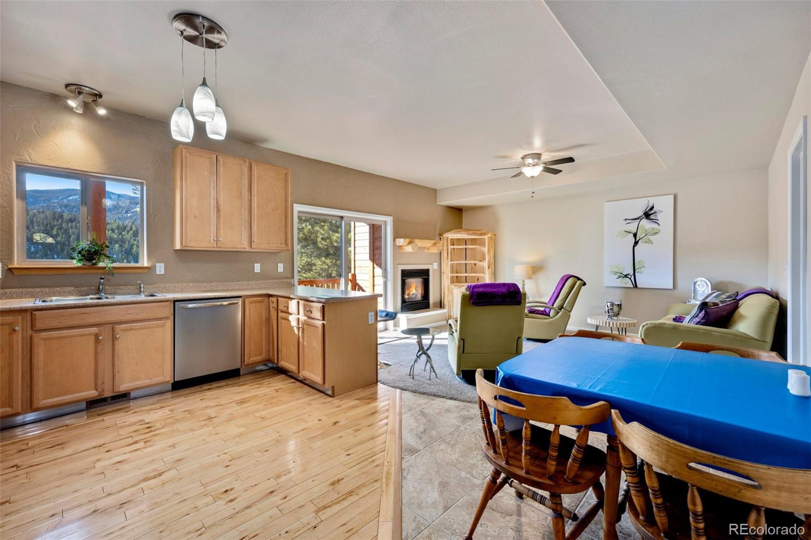 MLS Image #12 for 305  virginia road,bailey, Colorado