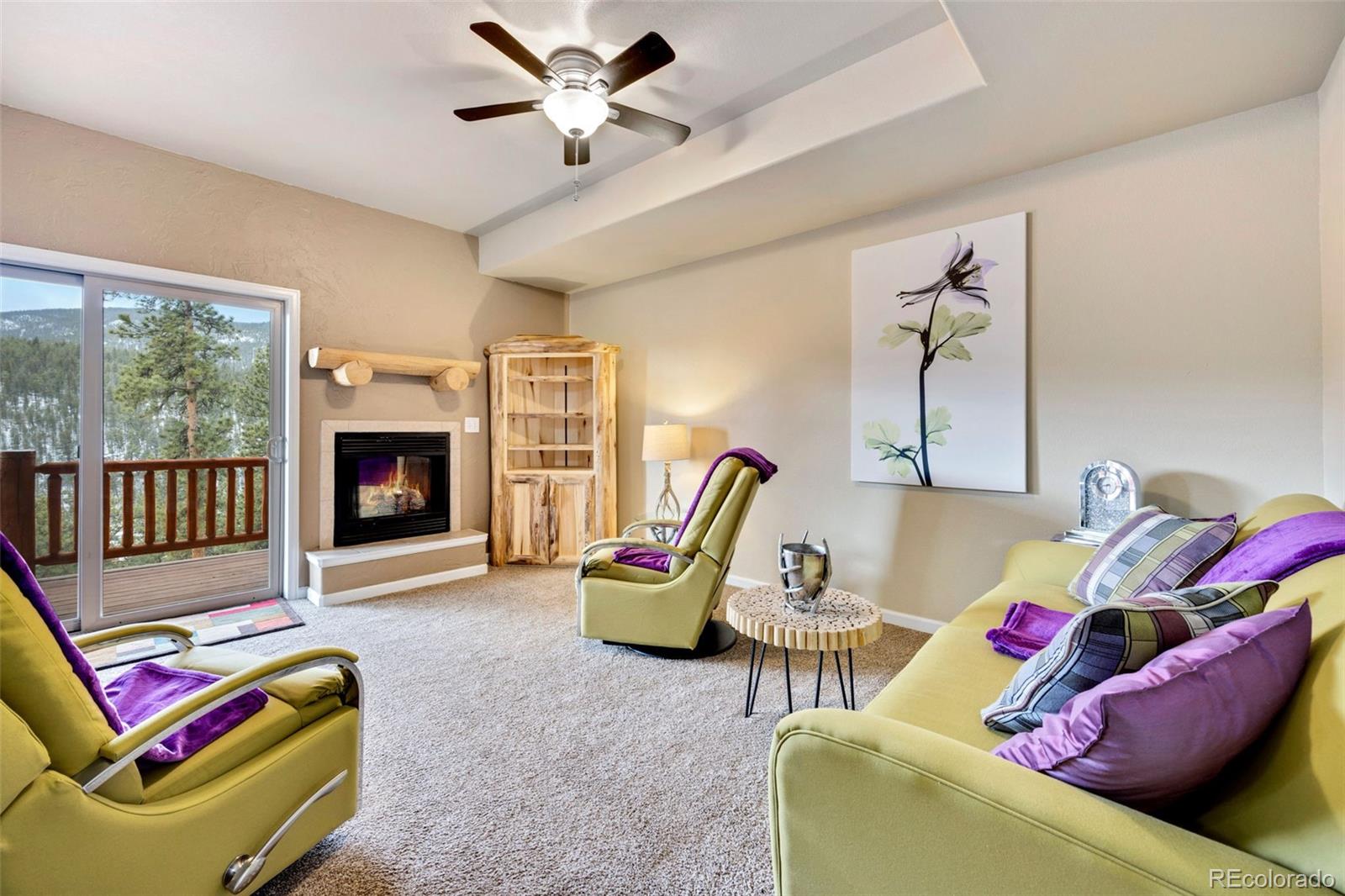 MLS Image #14 for 305  virginia road,bailey, Colorado
