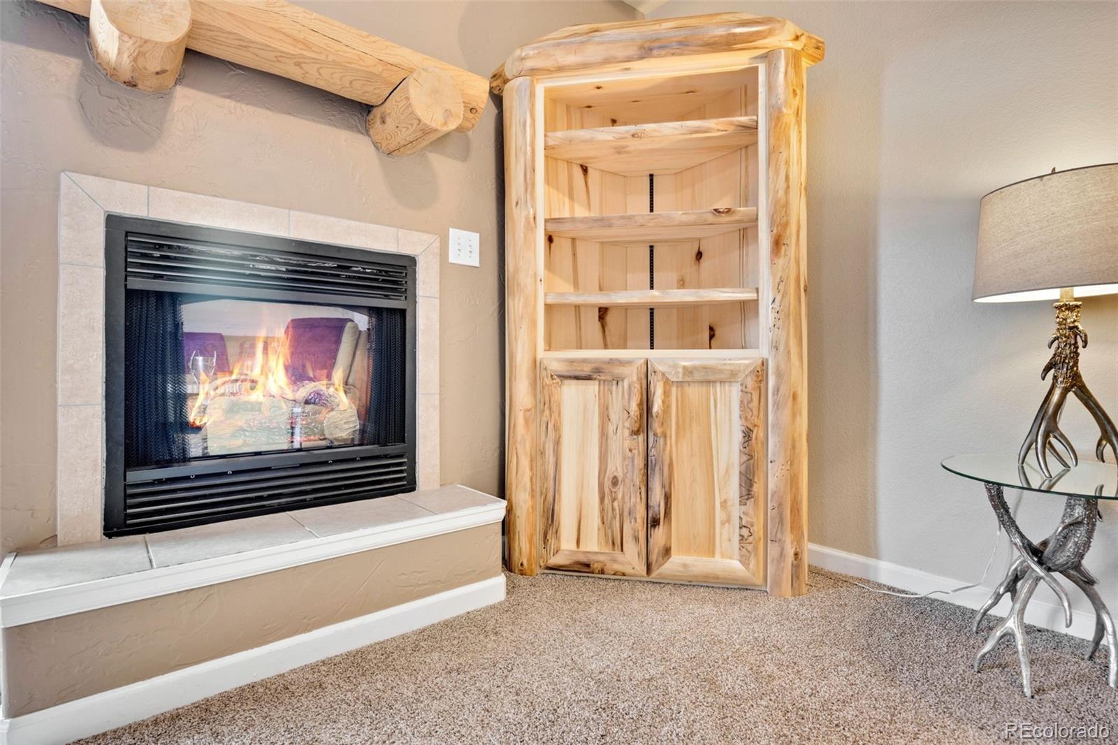 MLS Image #15 for 305  virginia road,bailey, Colorado