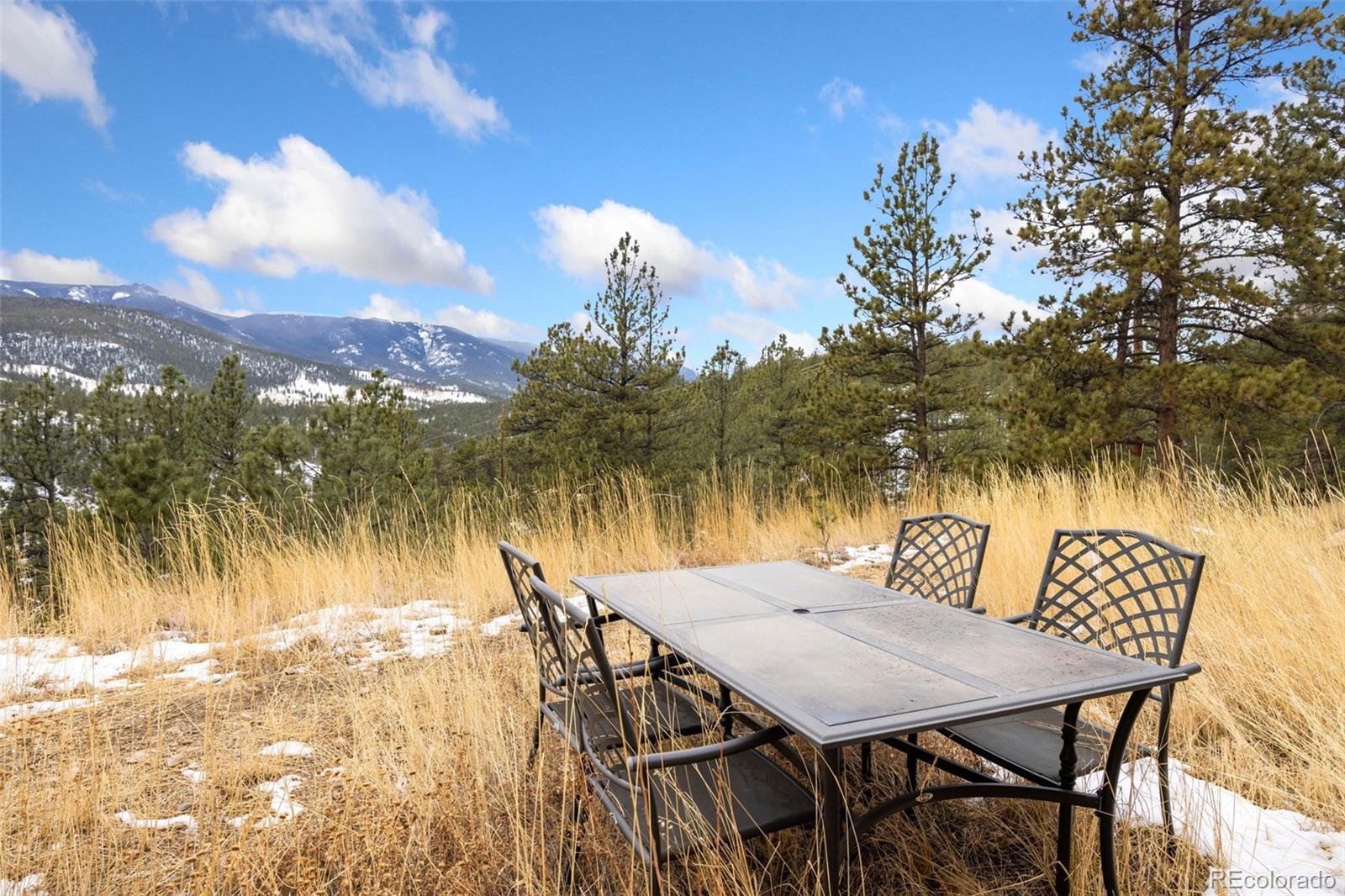 MLS Image #30 for 305  virginia road,bailey, Colorado