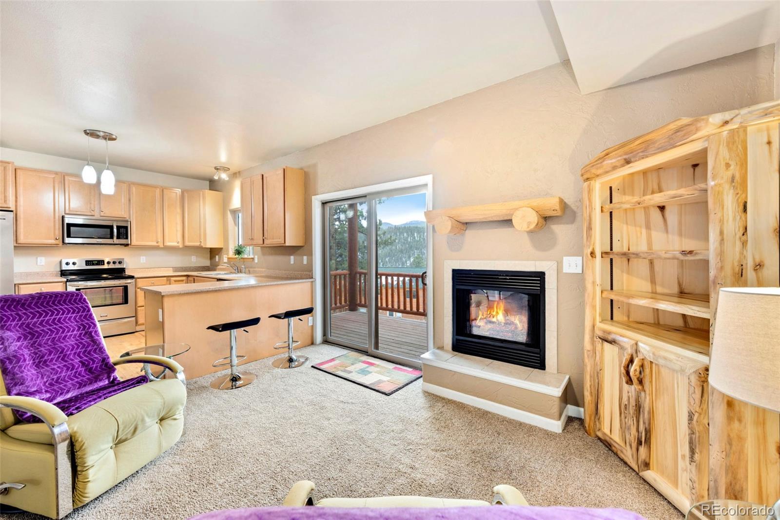 MLS Image #6 for 305  virginia road,bailey, Colorado