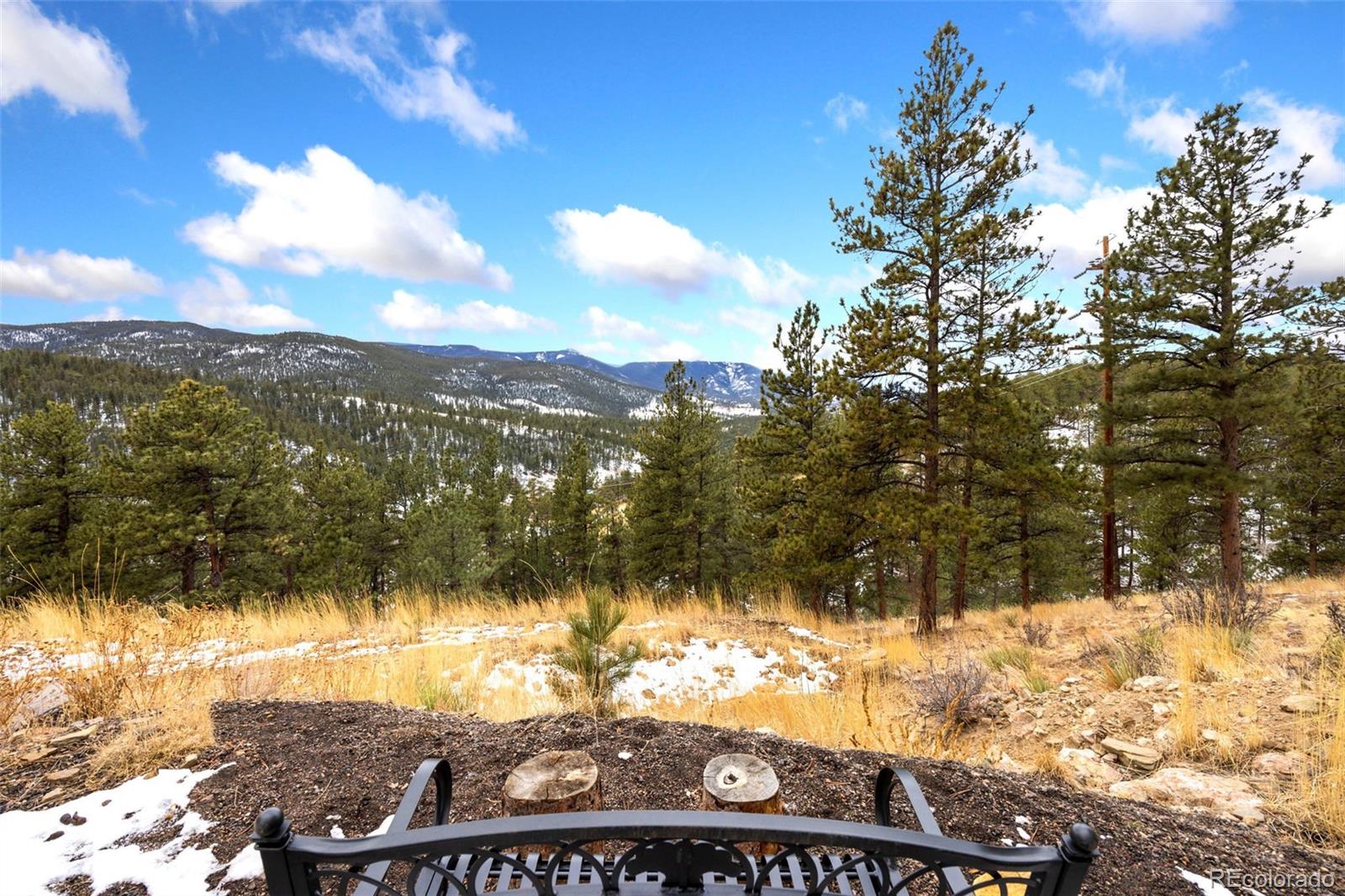 MLS Image #7 for 305  virginia road,bailey, Colorado