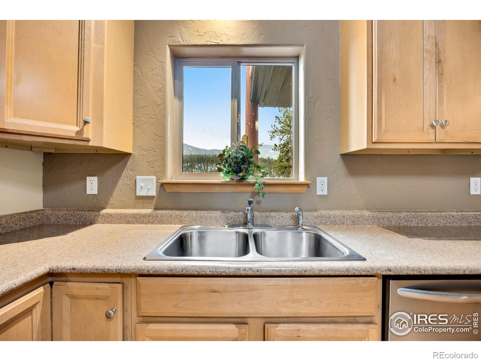 MLS Image #10 for 305  virginia road,bailey, Colorado