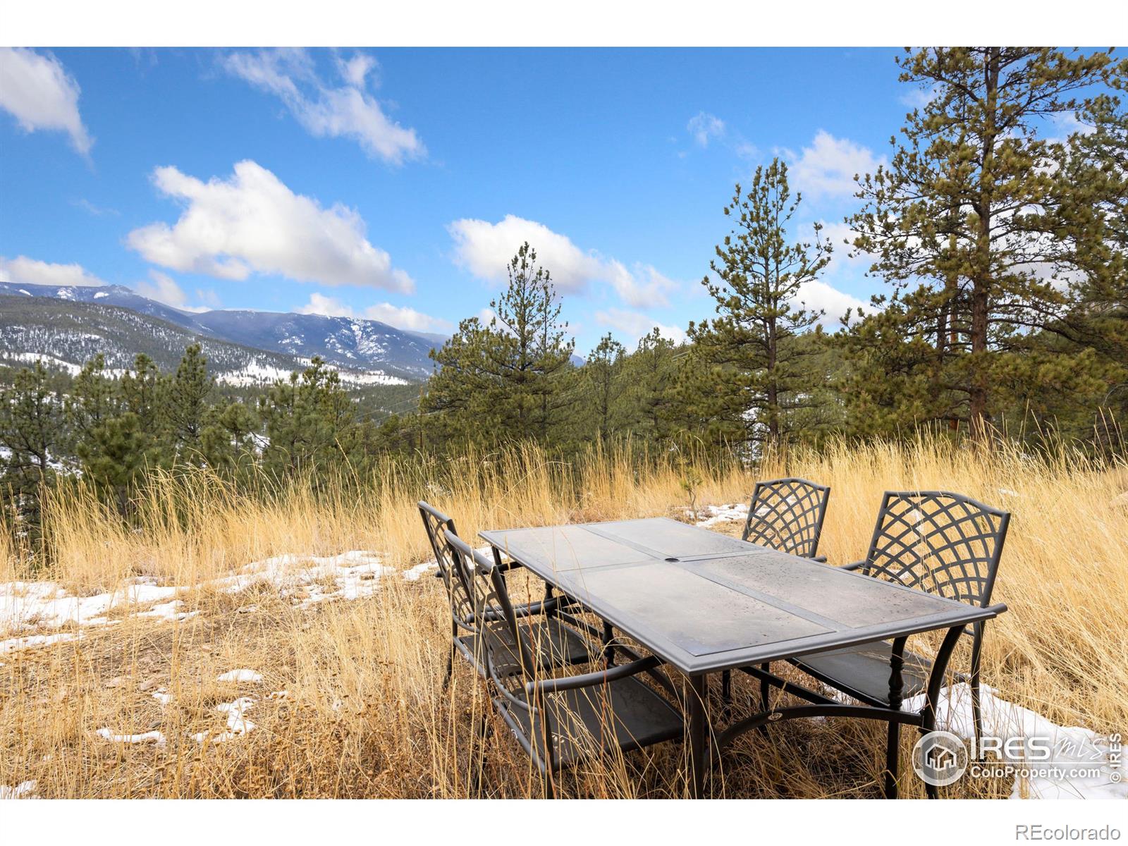 MLS Image #30 for 305  virginia road,bailey, Colorado