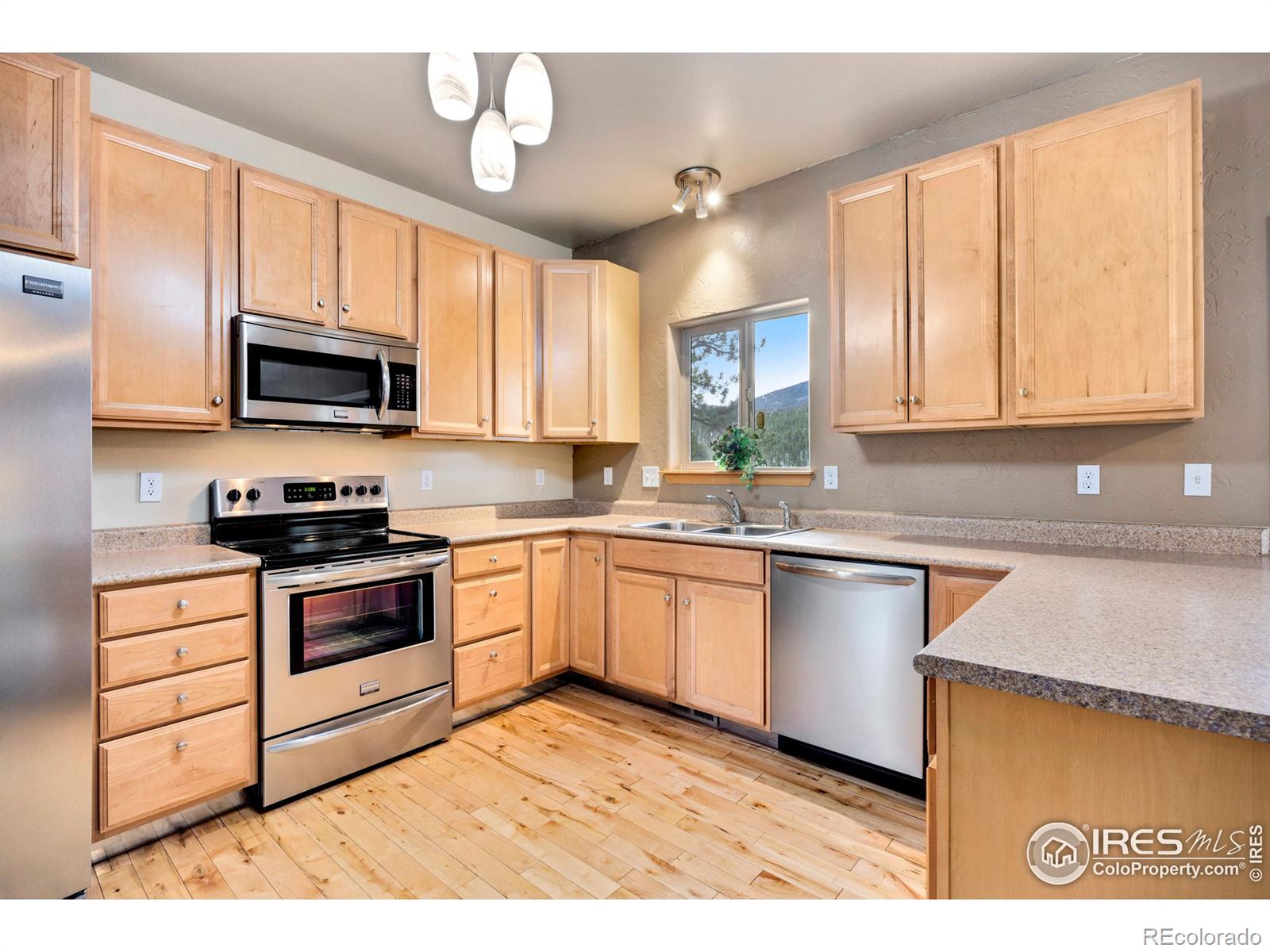 MLS Image #4 for 305  virginia road,bailey, Colorado