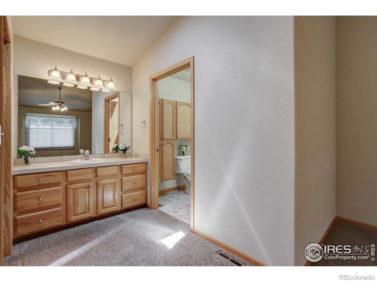 MLS Image #11 for 1746  suntide drive,johnstown, Colorado