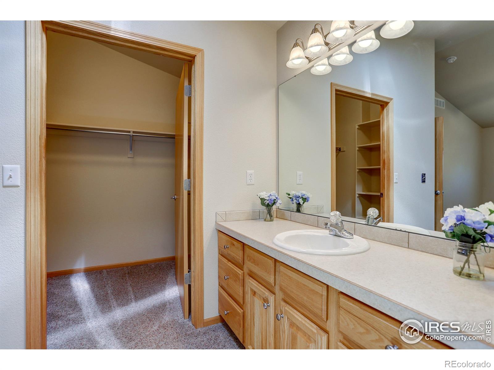 MLS Image #12 for 1746  suntide drive,johnstown, Colorado