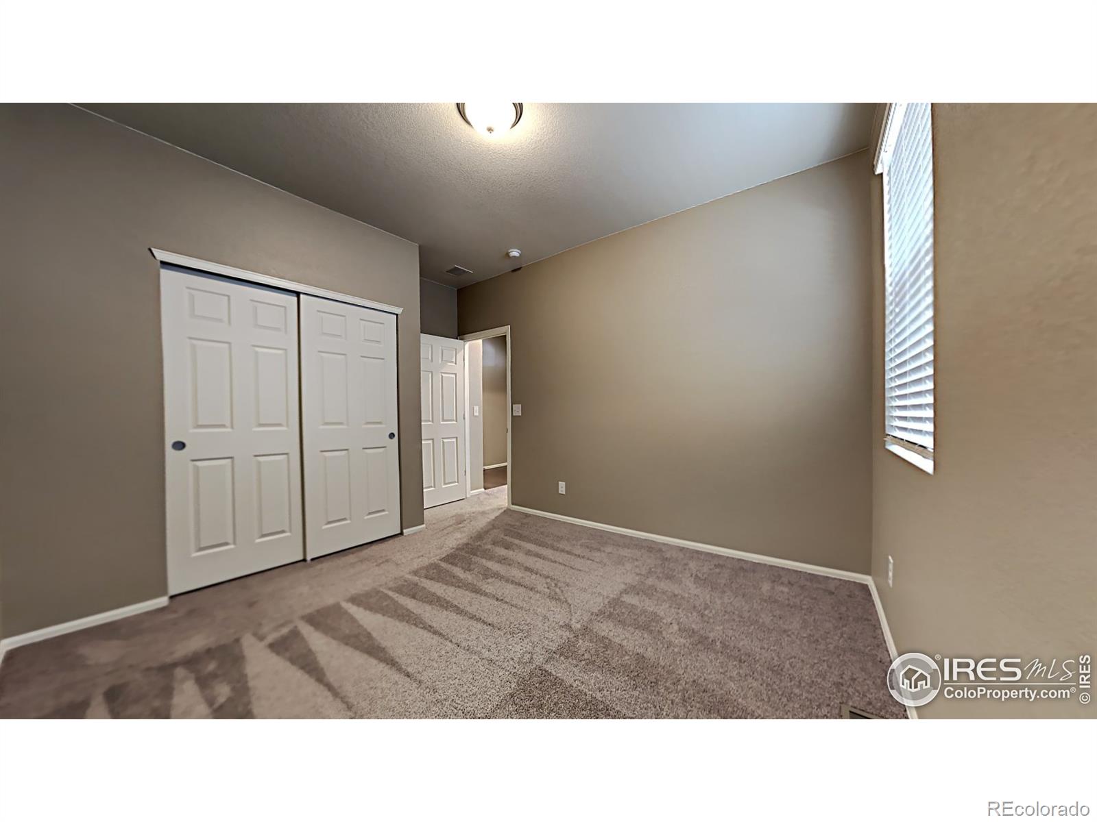 MLS Image #17 for 1780  summer bloom drive,windsor, Colorado