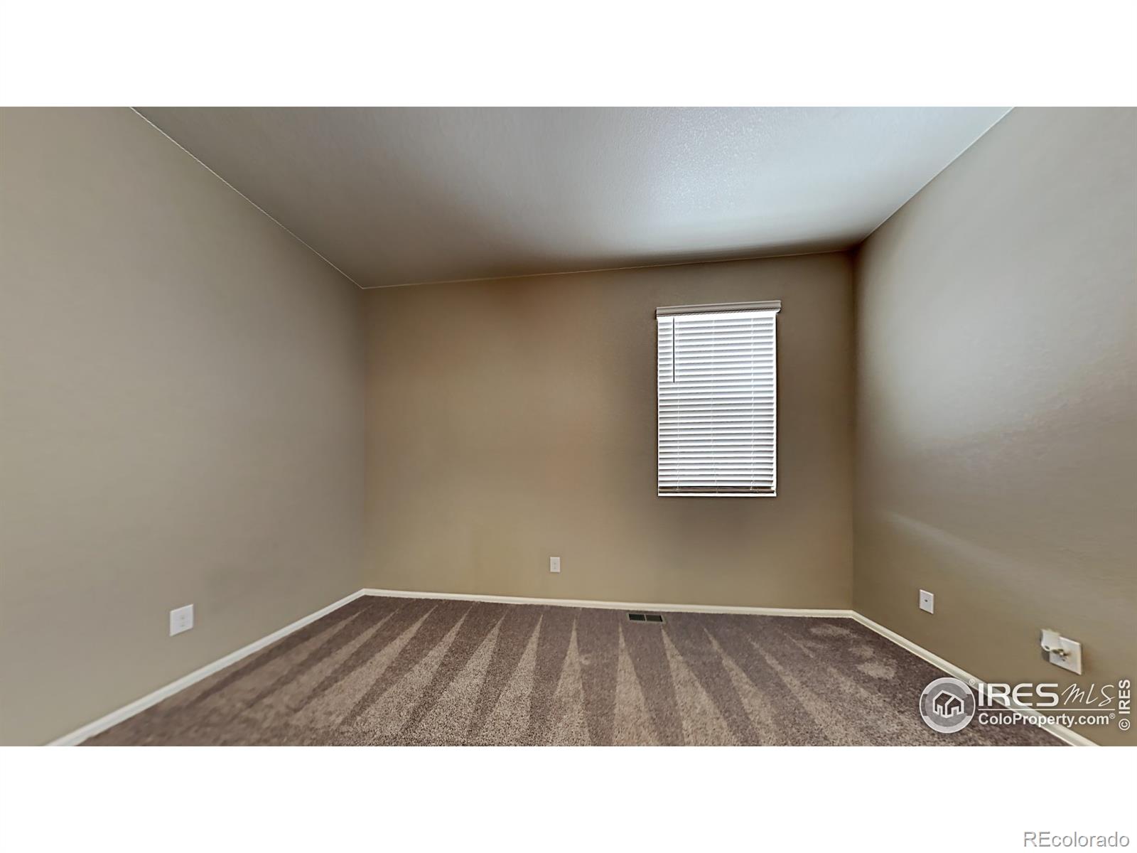 MLS Image #7 for 1780  summer bloom drive,windsor, Colorado