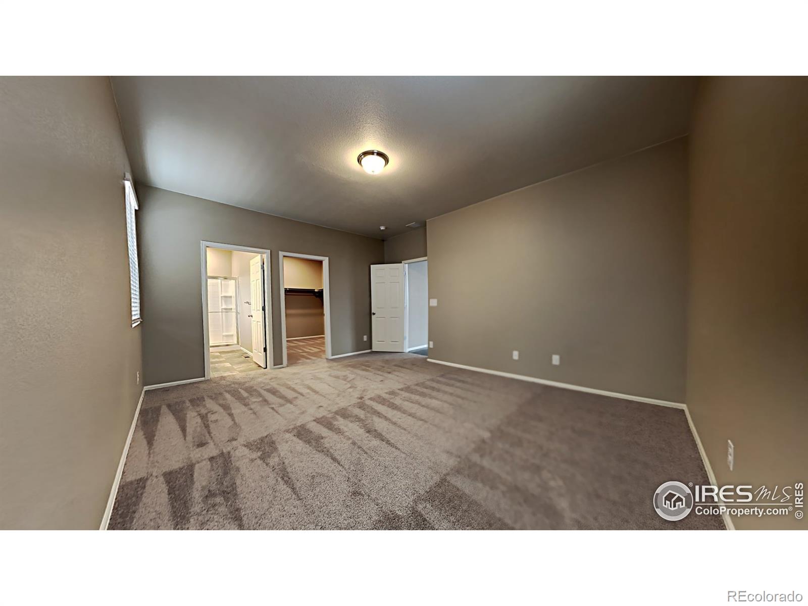 MLS Image #8 for 1780  summer bloom drive,windsor, Colorado