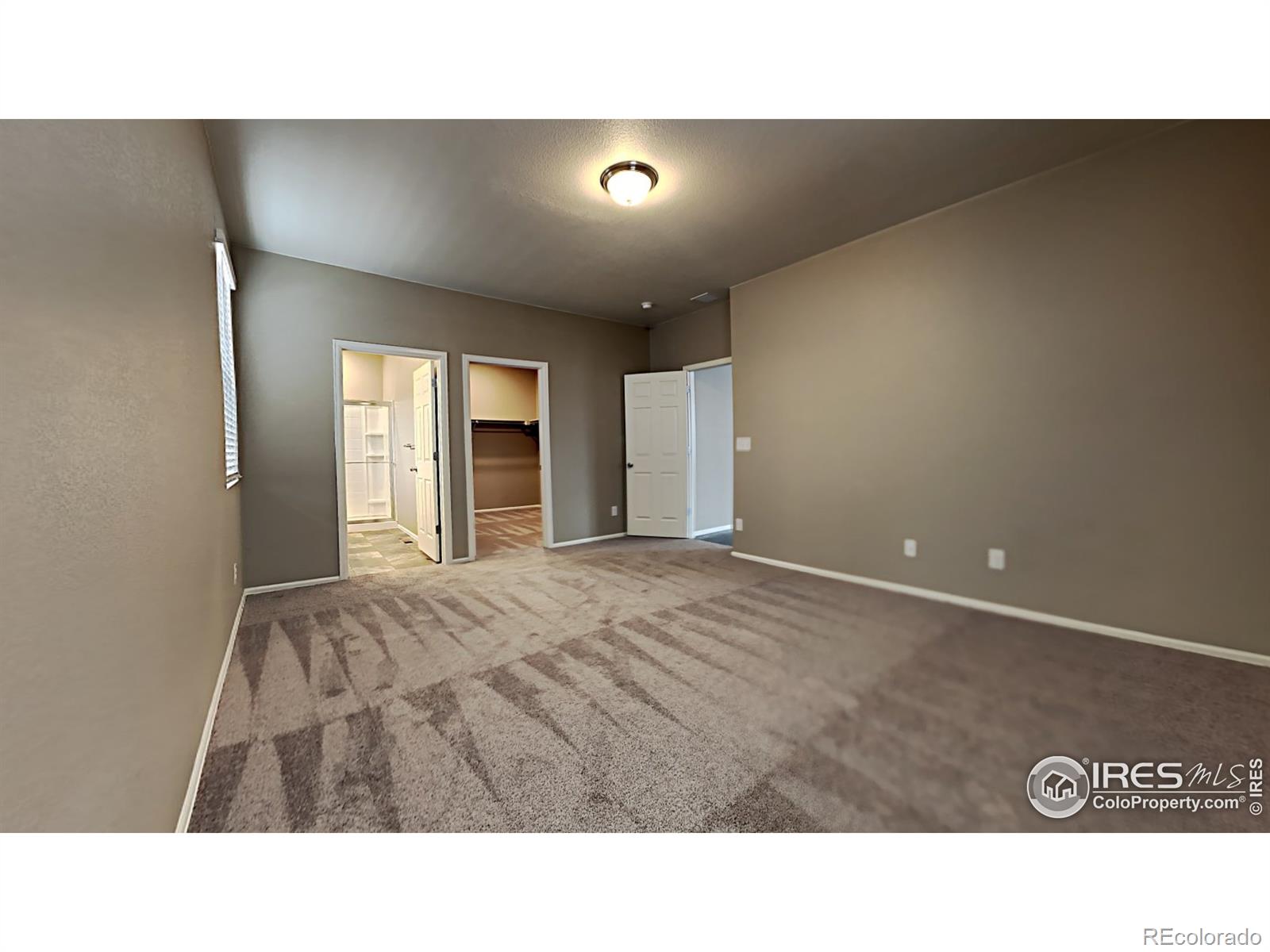 MLS Image #9 for 1780  summer bloom drive,windsor, Colorado