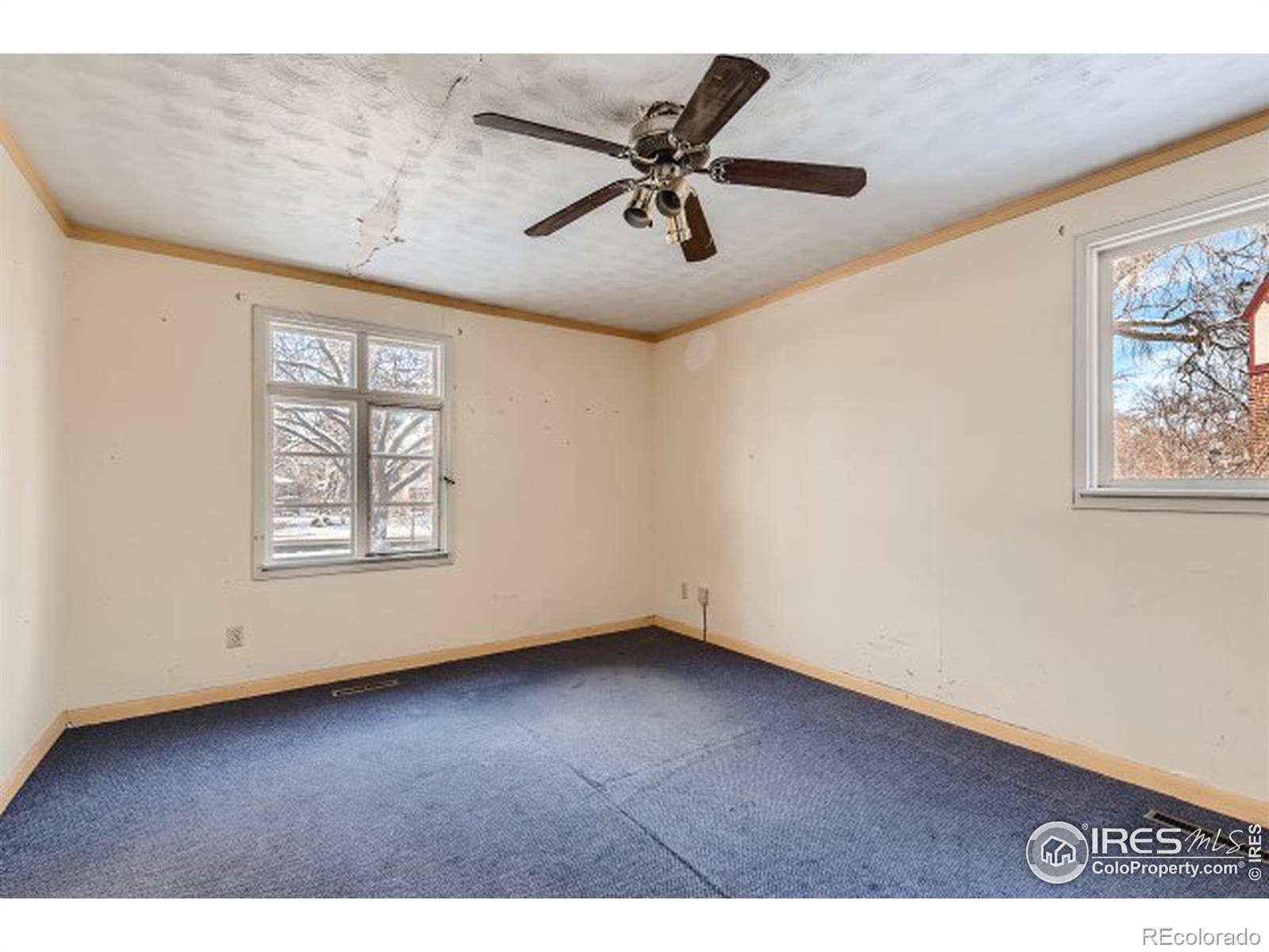 MLS Image #10 for 1516  remington street,fort collins, Colorado