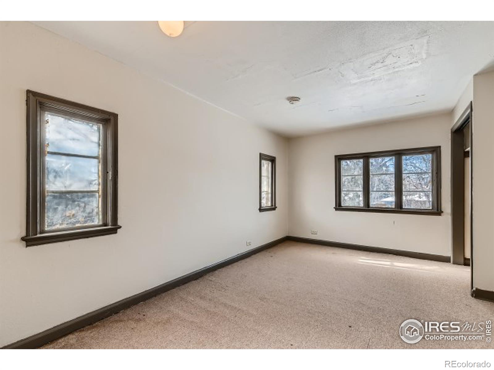 MLS Image #26 for 1516  remington street,fort collins, Colorado