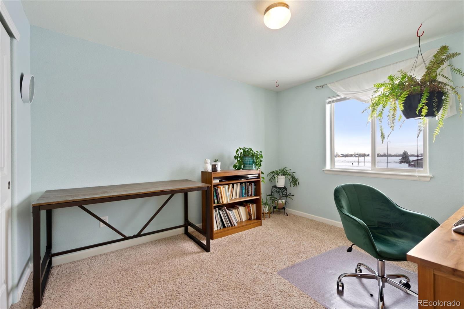 MLS Image #9 for 3147  alybar drive,wellington, Colorado