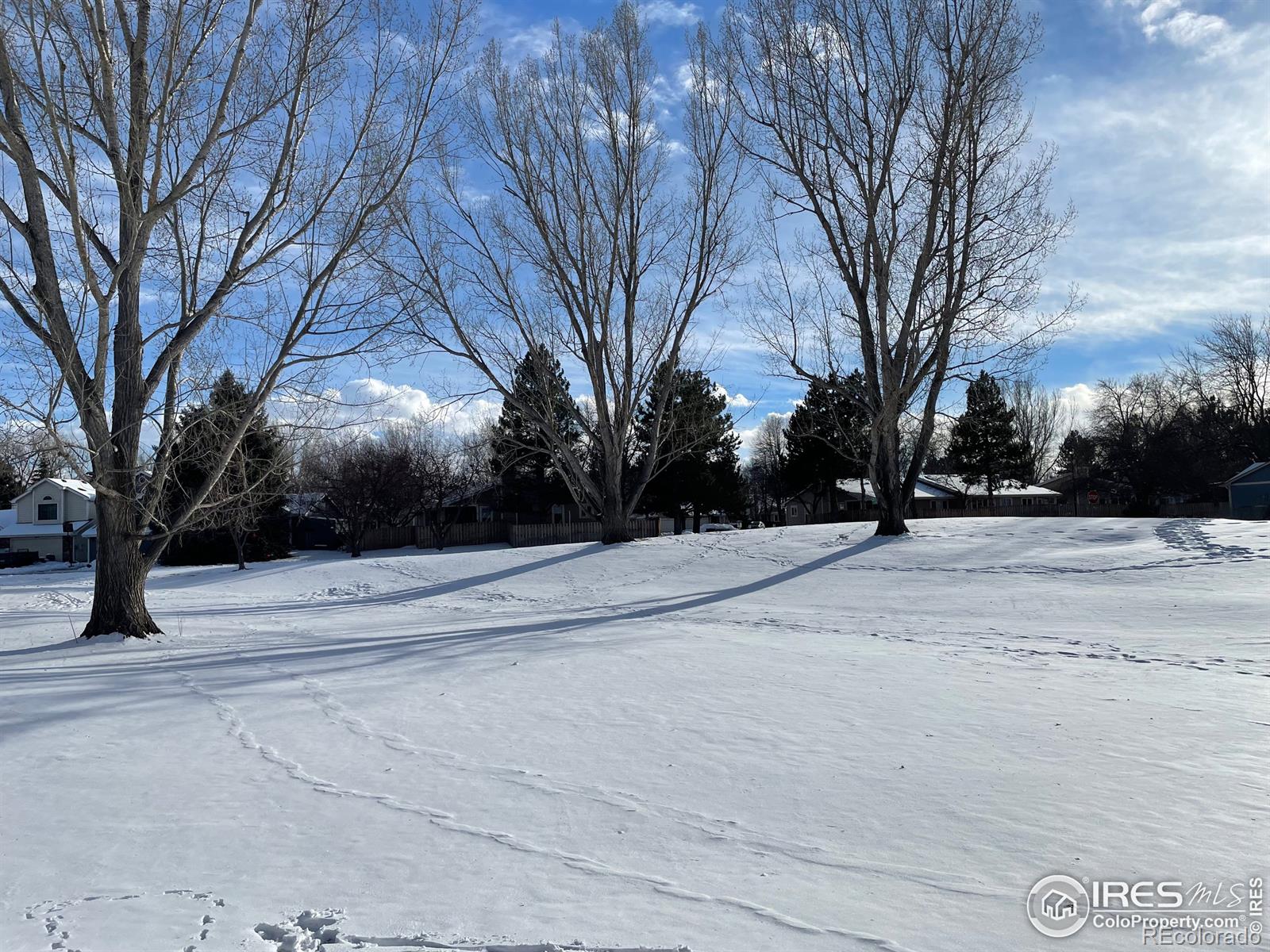 MLS Image #1 for 1640  kirkwood drive,fort collins, Colorado
