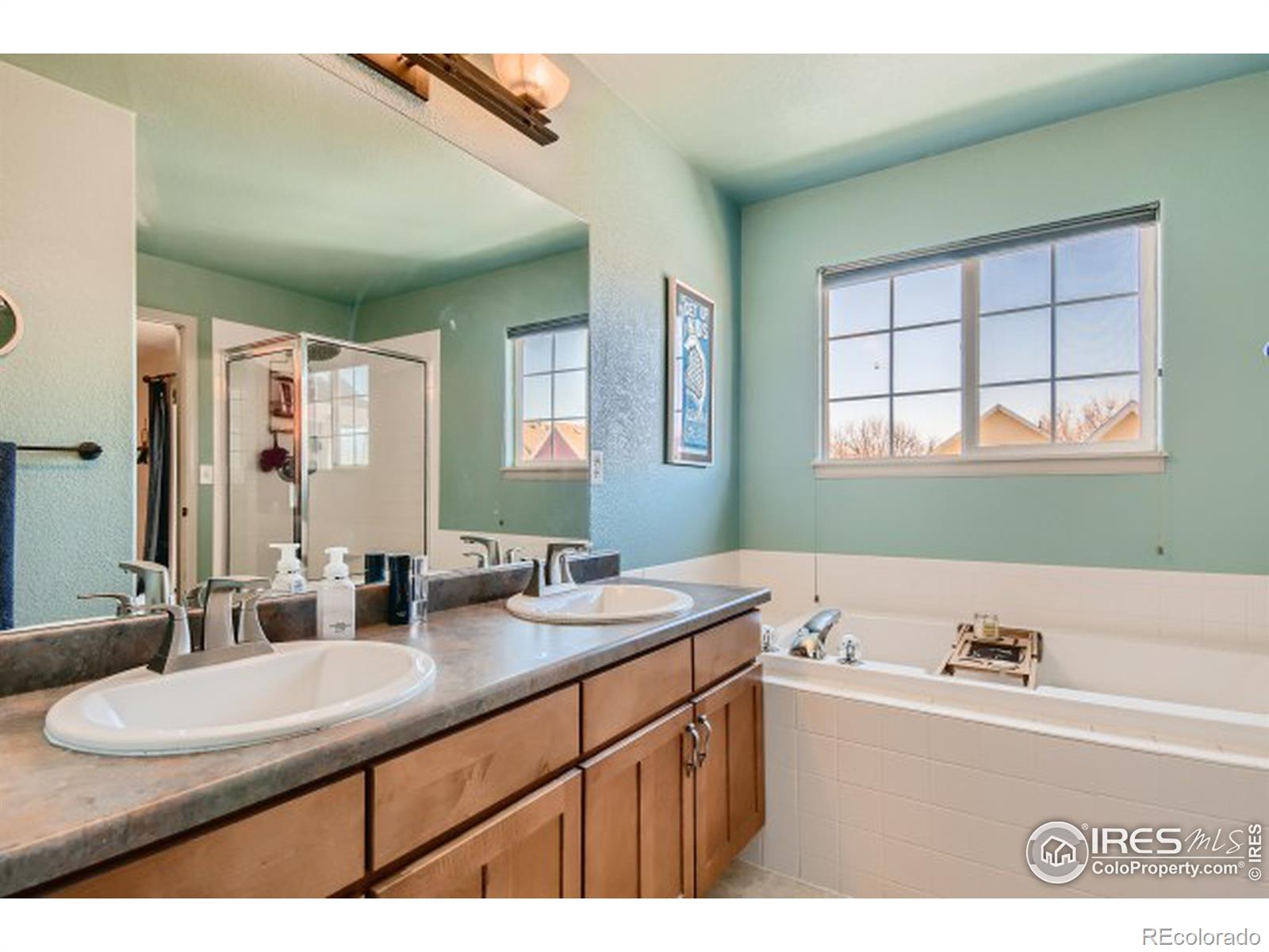 MLS Image #12 for 241  mill village boulevard,longmont, Colorado