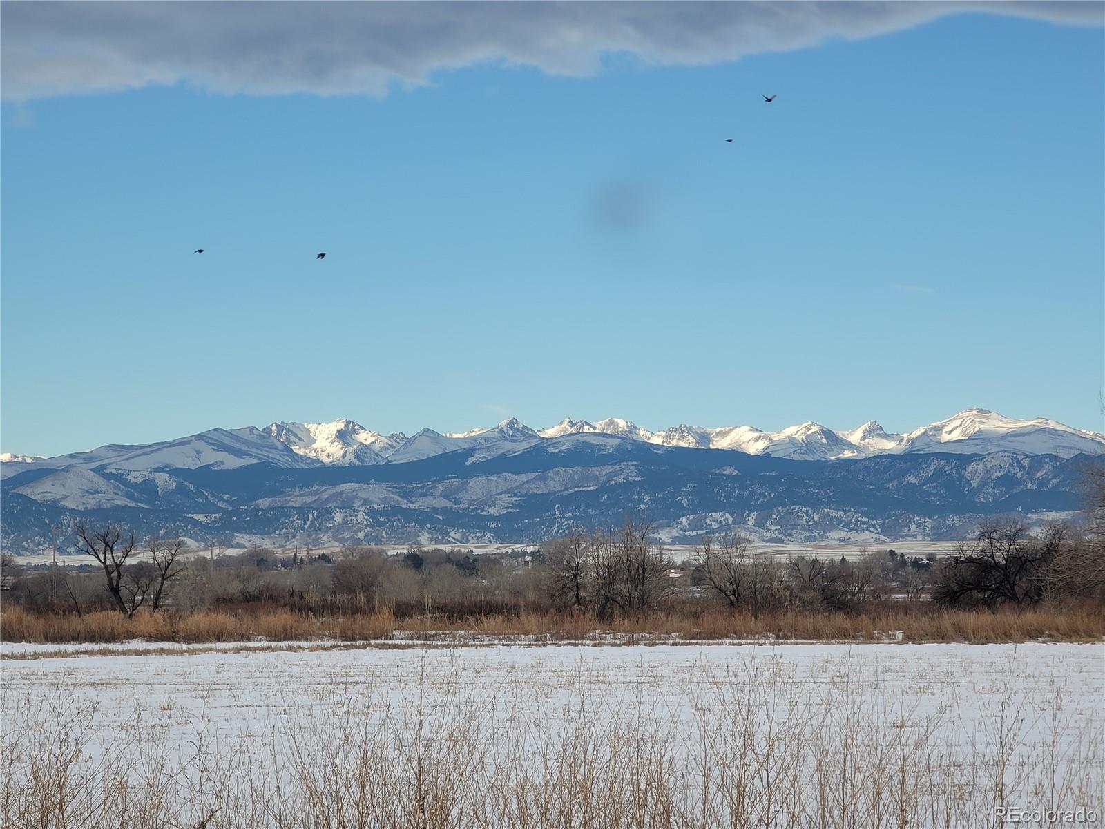 MLS Image #12 for 5113  buffalo road,erie, Colorado