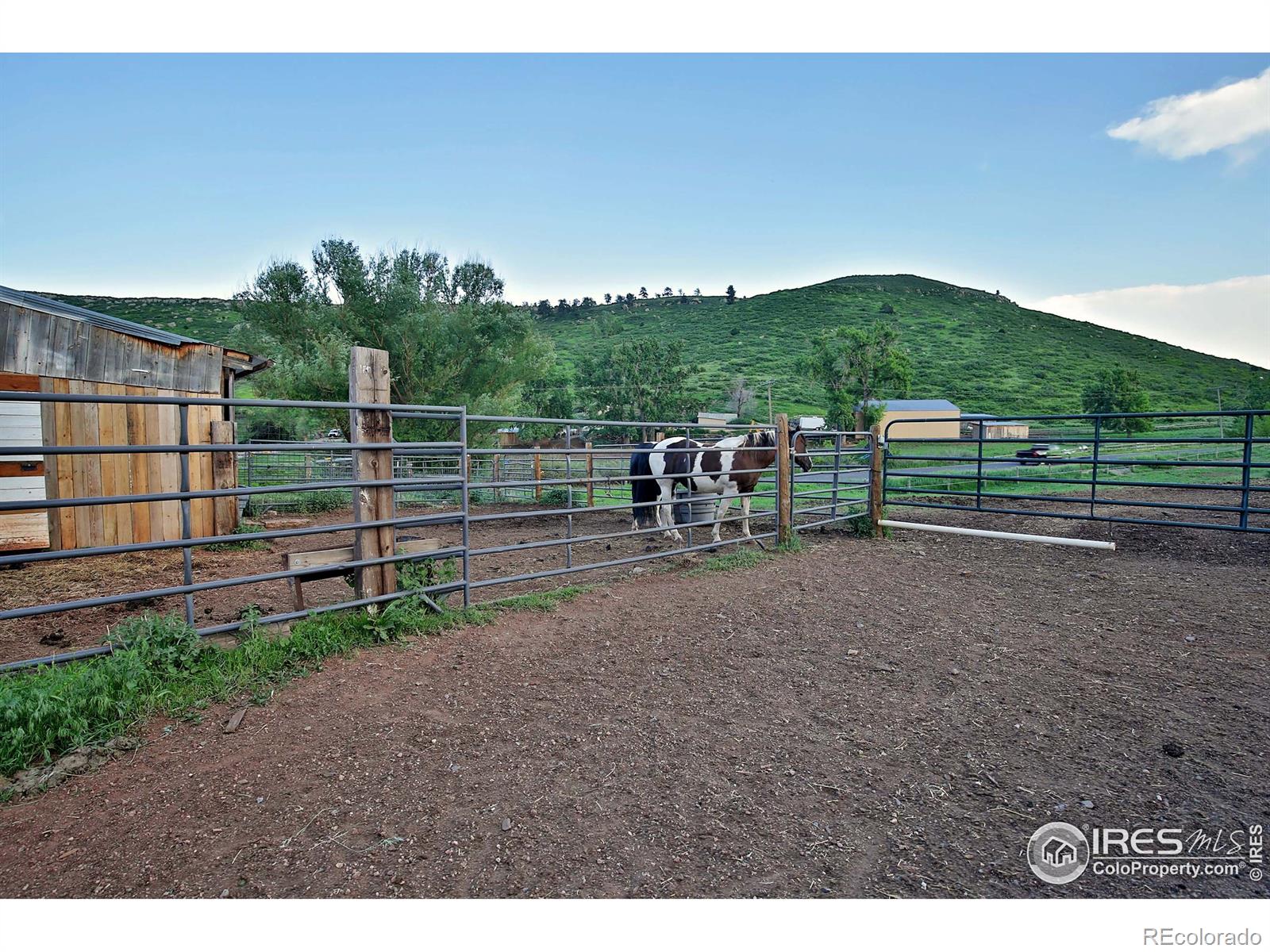 MLS Image #27 for 1905 n county road 23 road,bellvue, Colorado