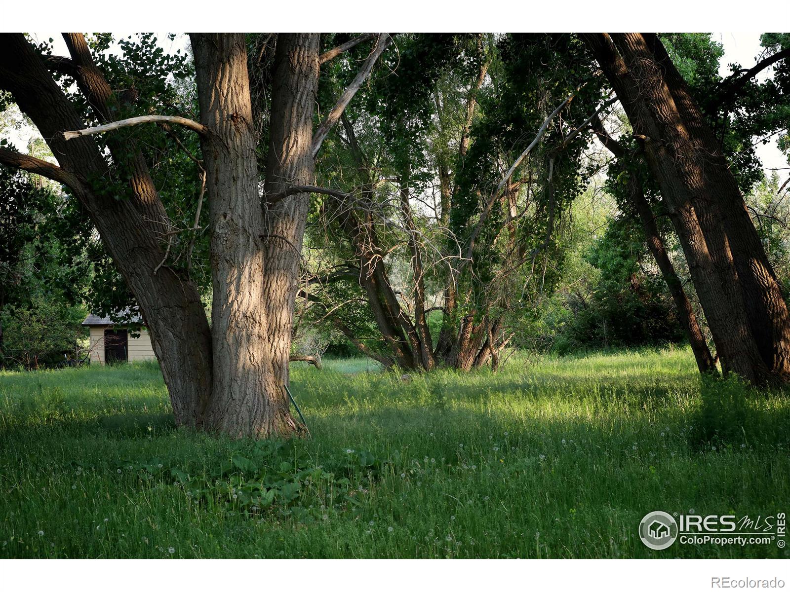 MLS Image #29 for 1905 n county road 23 road,bellvue, Colorado