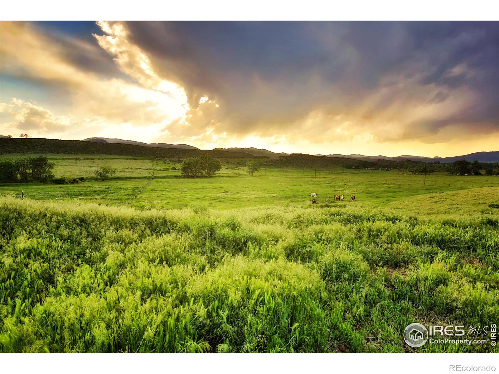 MLS Image #31 for 1905 n county road 23 road,bellvue, Colorado