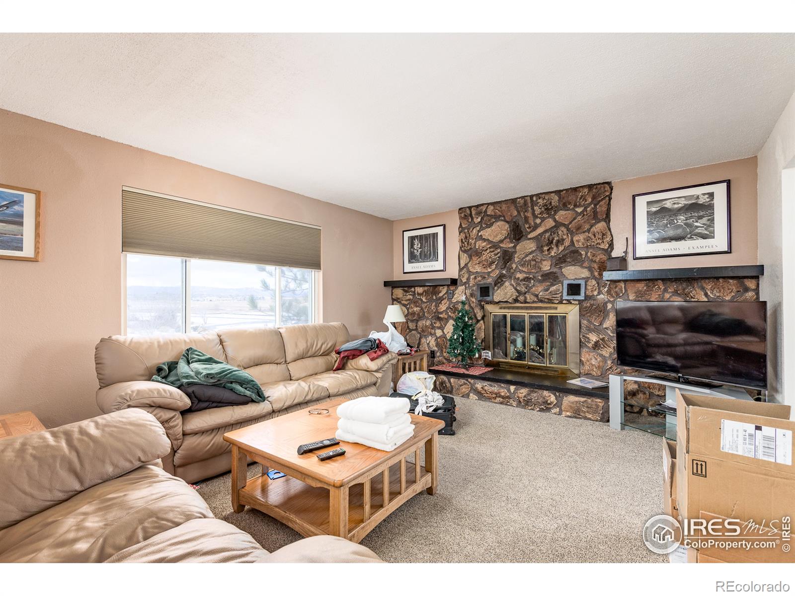 MLS Image #6 for 125  stearman court,erie, Colorado